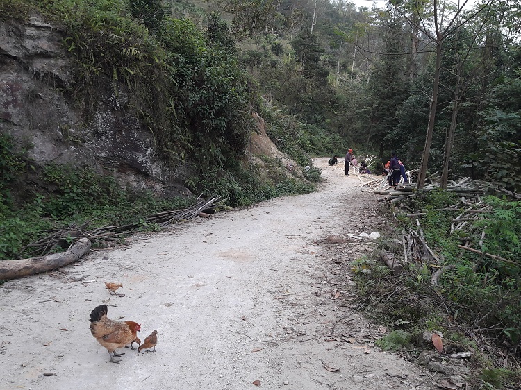 3 days trekking in hoang su phi village